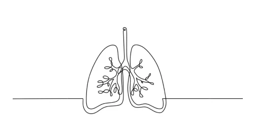 Alergii Respiratorii & Astm