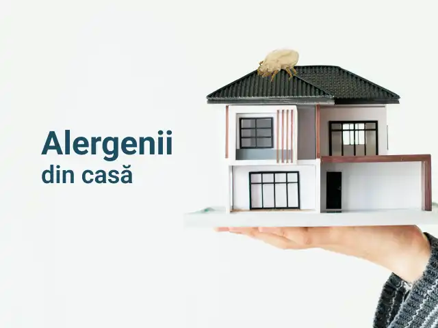 Alergenii din casă. 5 lucruri de care să ne ferim