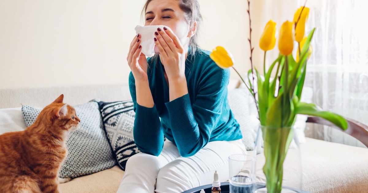 Alergenii respiratori